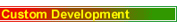 Cusom Development