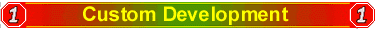 Custom Development