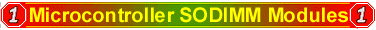 Microcontroller SODIMM Modules